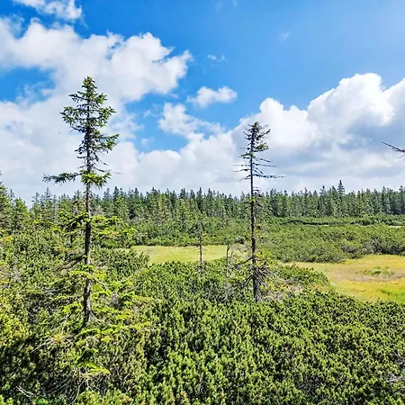 Marika By Interhome צ'רני דול